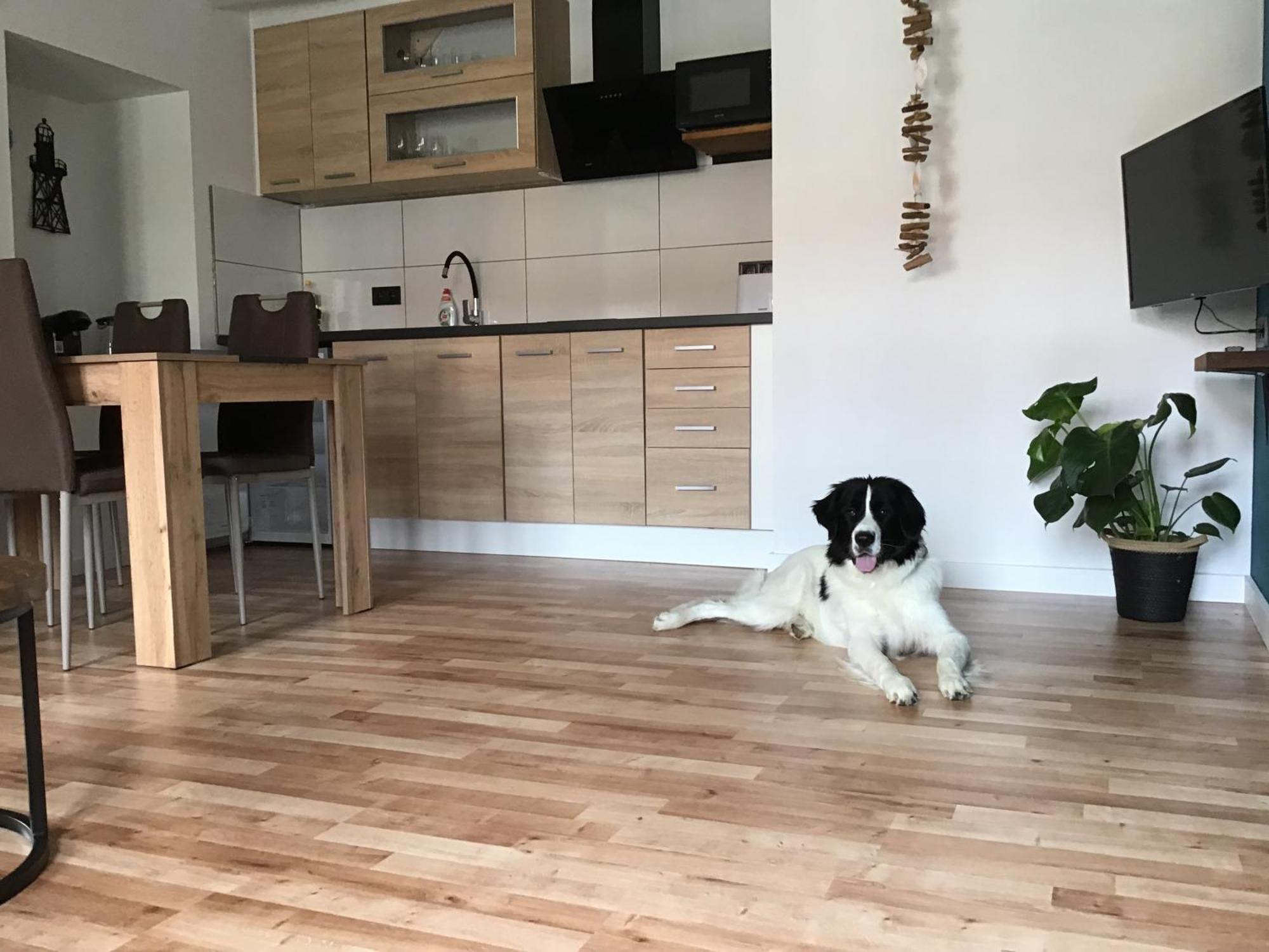 Apartmany A&Z Hořice na Šumavě Extérieur photo